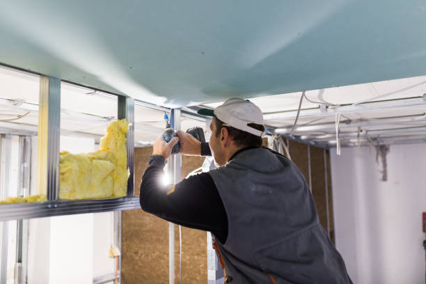Best Insulation Maintenance and Repair in Ogdensburg, NY